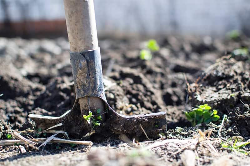 7 ways to prevent rusty garden tools this winter! - Jenolite